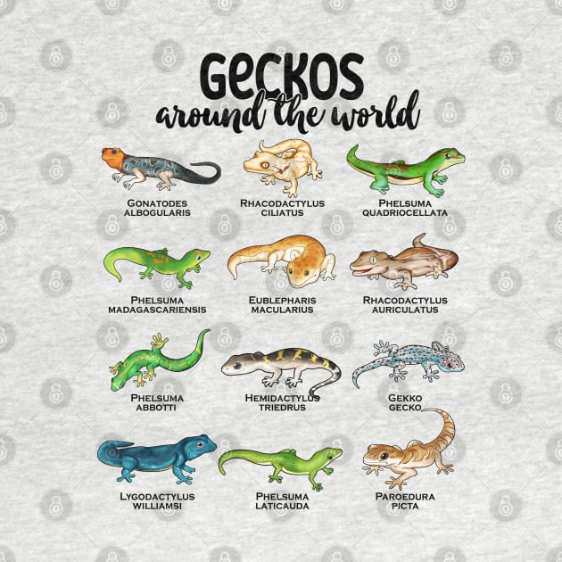 Many different geckos - geckos of the world by Modern Medieval Design